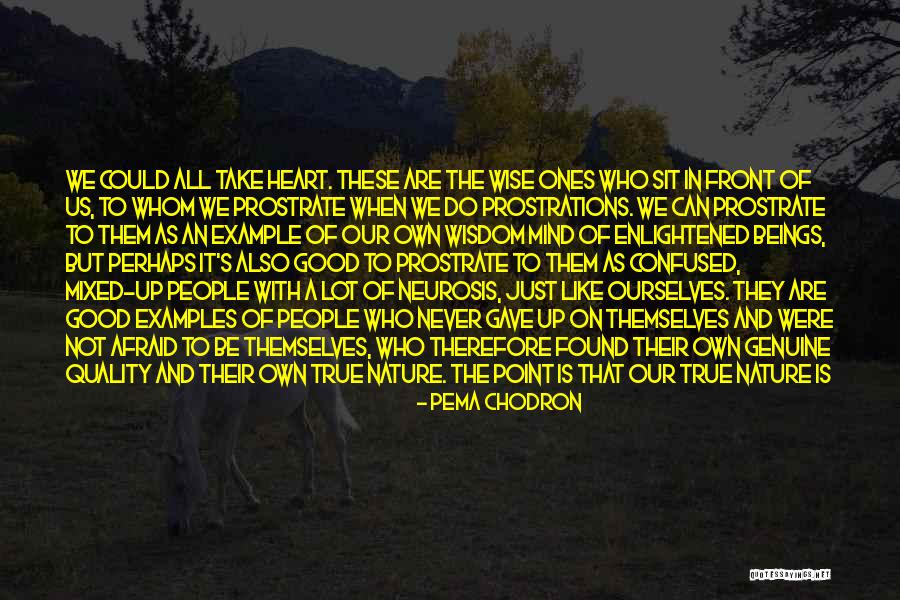 Heart Never Live Quotes By Pema Chodron Heart Never Live Quotes By Pema Chodron