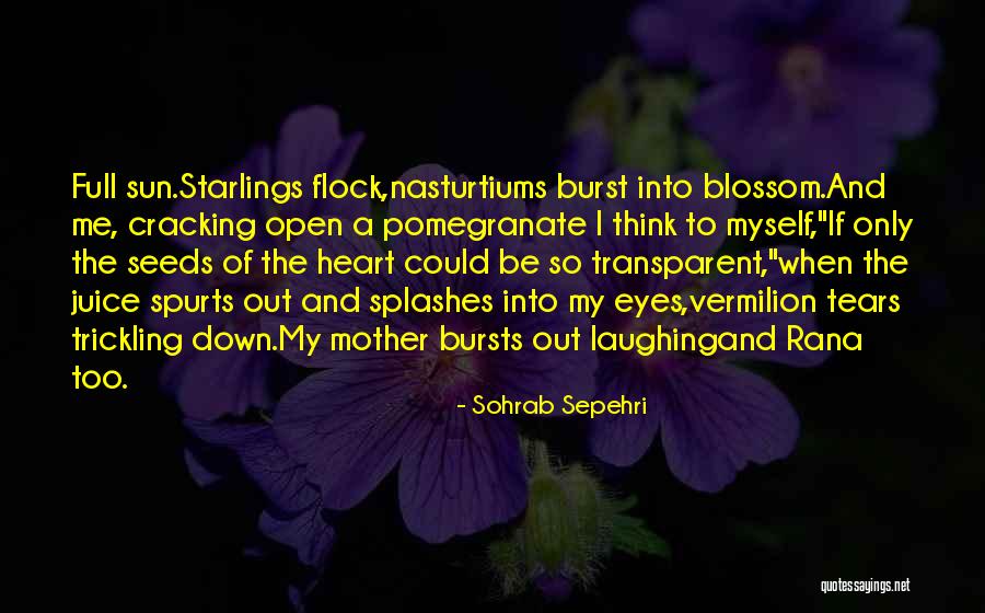 Heart Of A Mother Quotes By Sohrab Sepehri Heart Of A Mother Quotes By Sohrab Sepehri