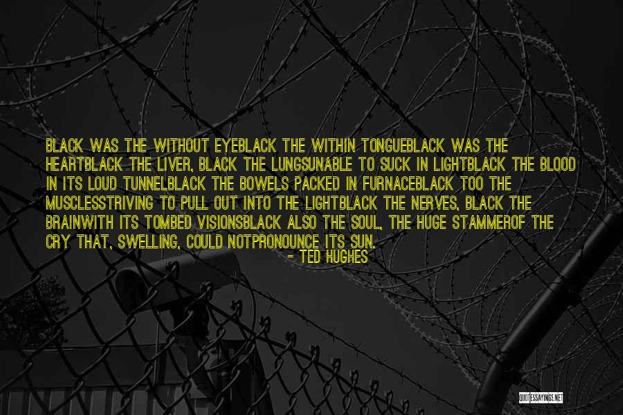 Heart Of Darkness Black Quotes By Ted Hughes