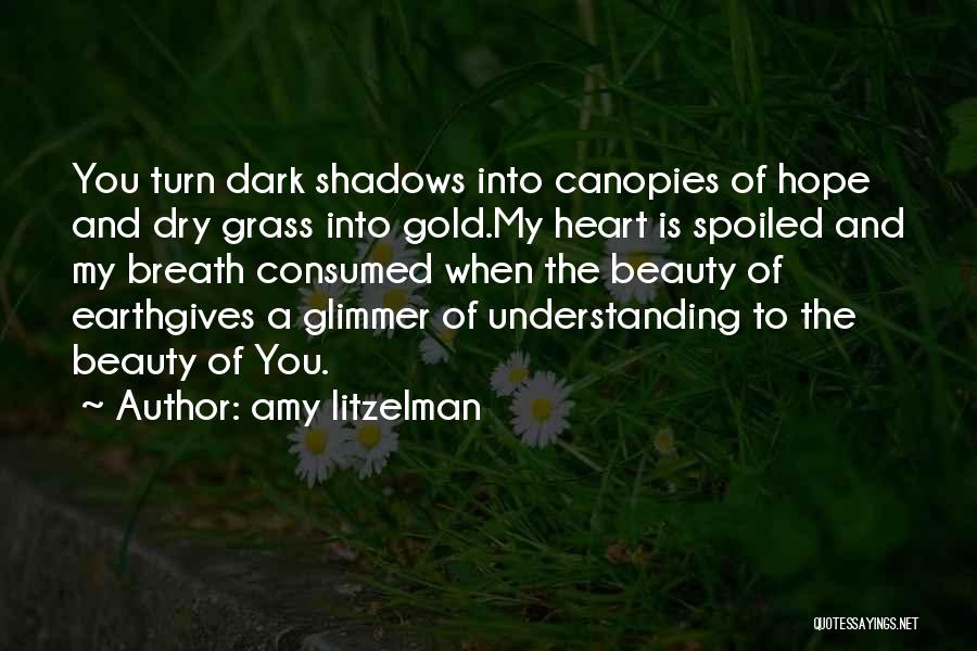 Heart Of Gold Quotes By Amy Litzelman