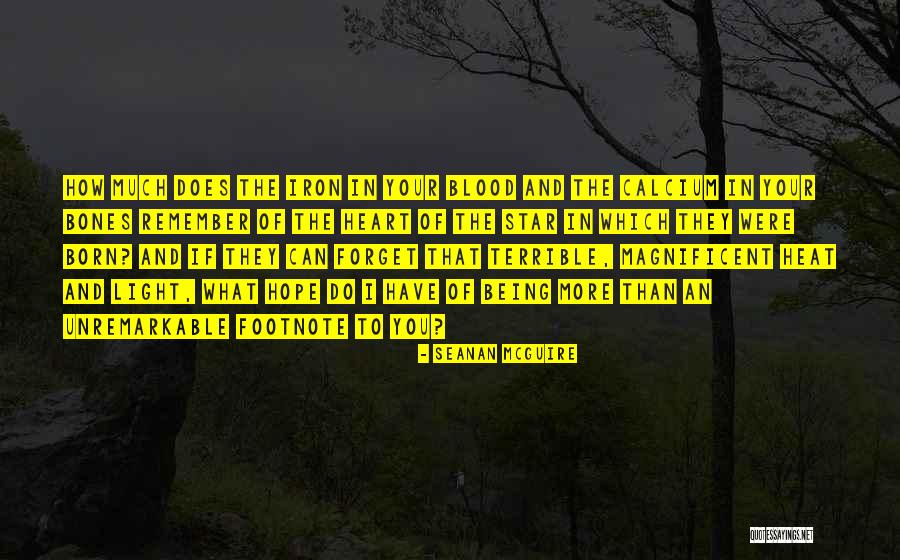 Heart Of Iron Quotes By Seanan McGuire Heart Of Iron Quotes By Seanan McGuire