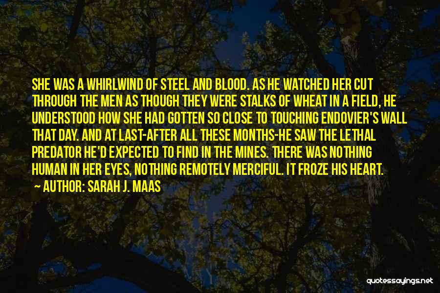 Heart Of Steel Quotes By Sarah J. Maas