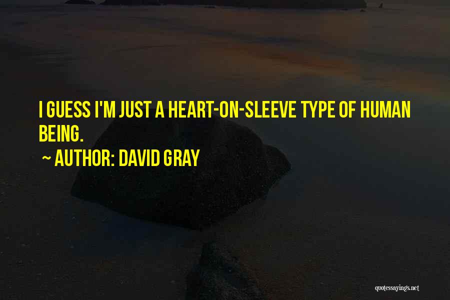 Heart On Her Sleeve Quotes By David Gray