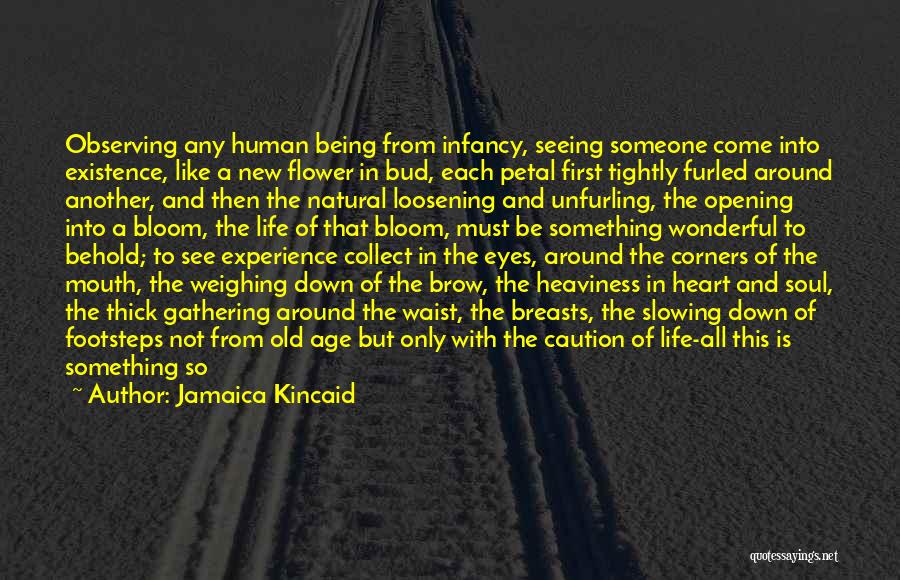 Heart Opening Quotes By Jamaica Kincaid