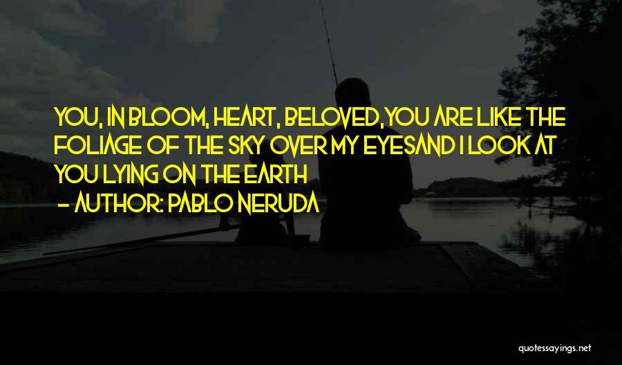 Heart Over Beauty Quotes By Pablo Neruda