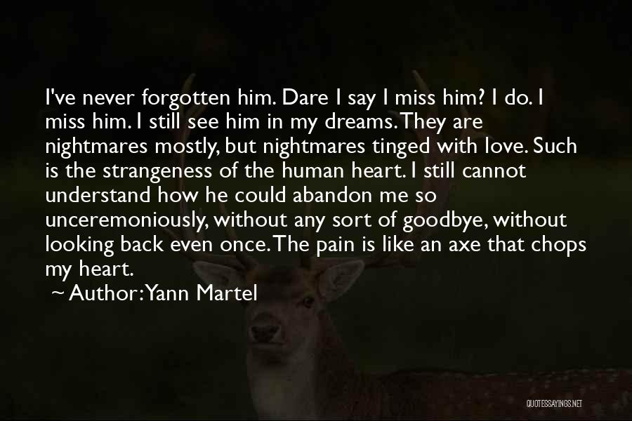 Heart Pain In Love Quotes By Yann Martel