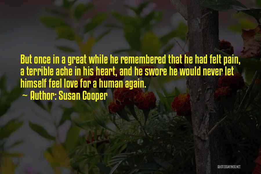 Heart Pain Love Quotes By Susan Cooper