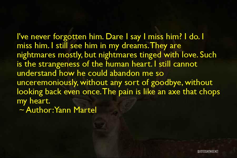 Heart Pain Love Quotes By Yann Martel