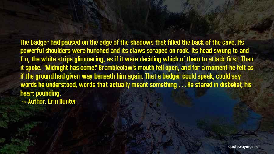 Heart Pounding Quotes By Erin Hunter