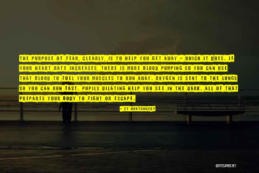 Heart Rate Quotes By Sy Montgomery Heart Rate Quotes By Sy Montgomery