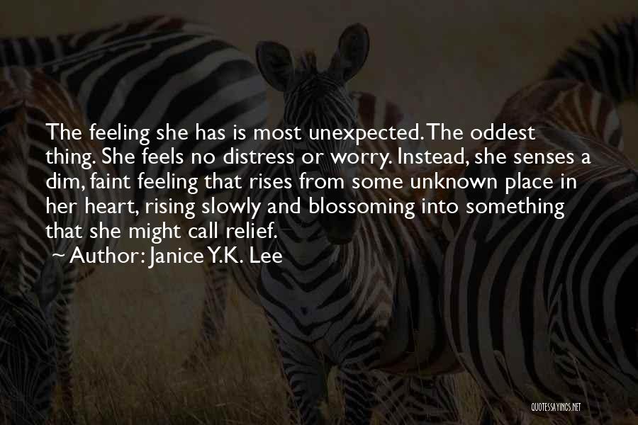 Heart Relief Quotes By Janice Y.K. Lee