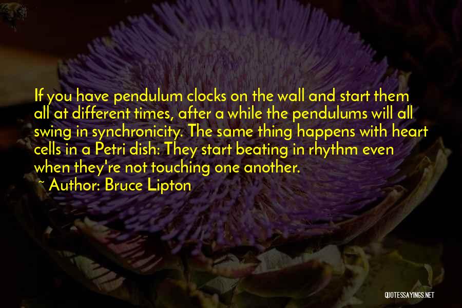 Heart Rhythm Quotes By Bruce Lipton