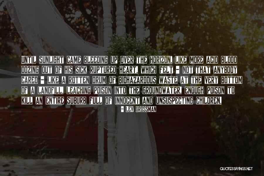 Heart Sick Quotes By Lev Grossman Heart Sick Quotes By Lev Grossman