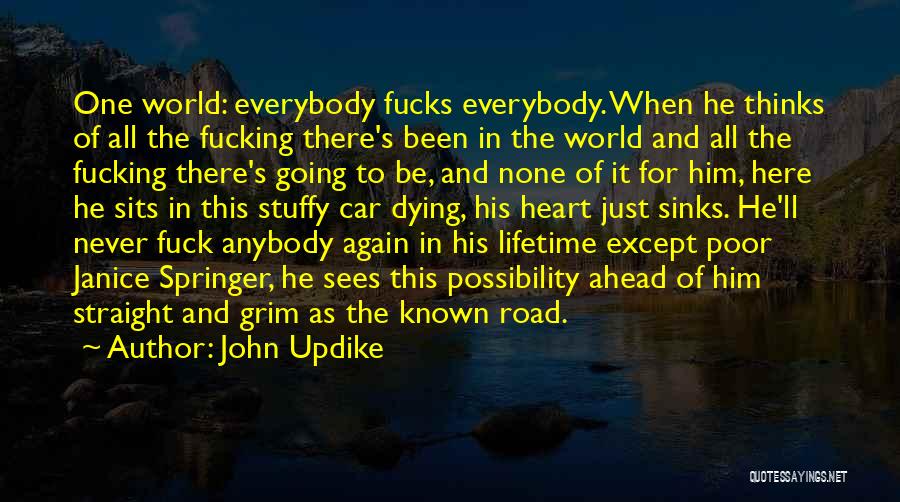Heart Sinks Quotes By John Updike