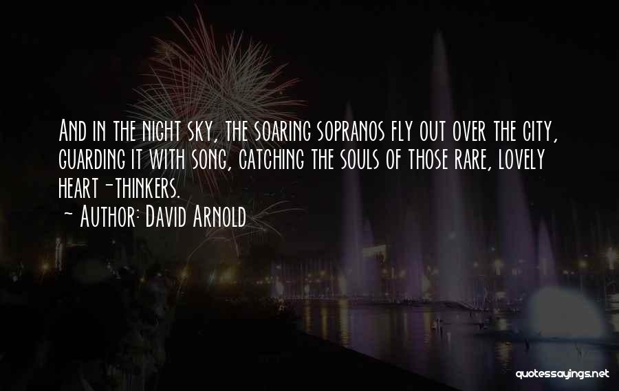 Heart Soaring Quotes By David Arnold