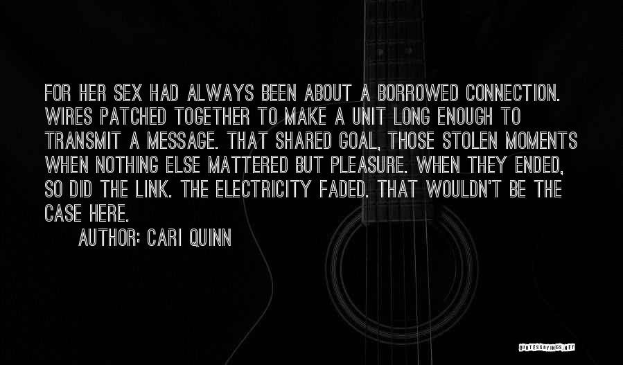 Heart Stolen Quotes By Cari Quinn