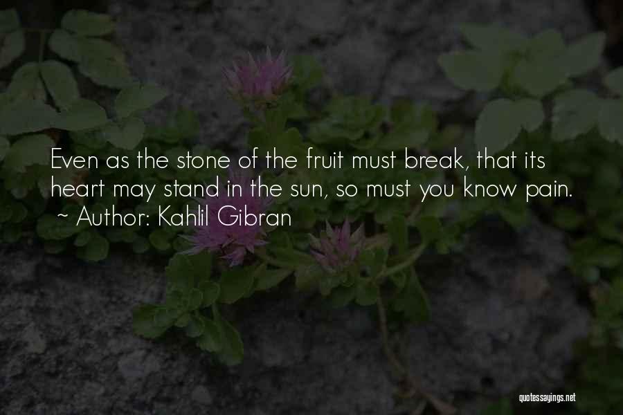 Heart Stone Quotes By Kahlil Gibran