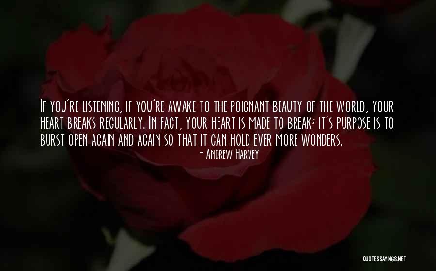 Heart That Is Open Quotes By Andrew Harvey Heart That Is Open Quotes By Andrew Harvey