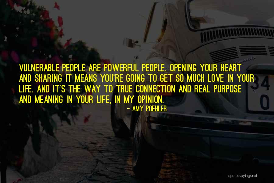 Heart To Heart Connection Quotes By Amy Poehler