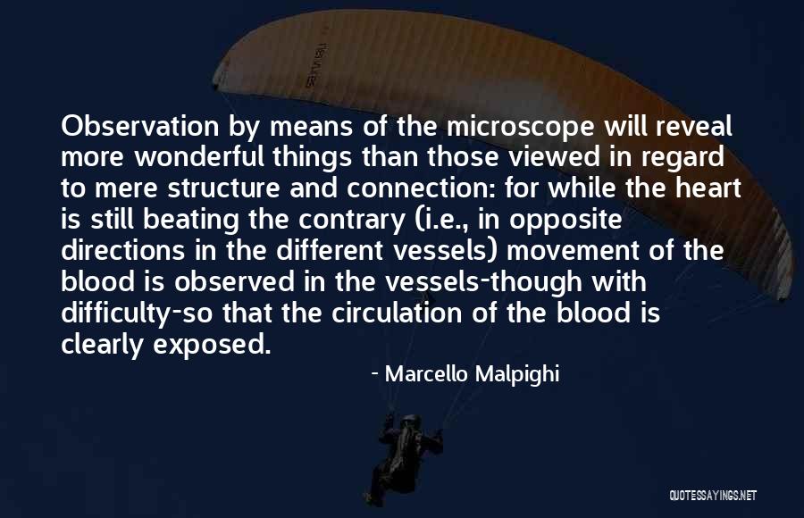 Heart To Heart Connection Quotes By Marcello Malpighi