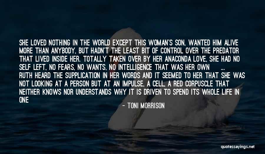 Heart Wants Quotes By Toni Morrison Heart Wants Quotes By Toni Morrison