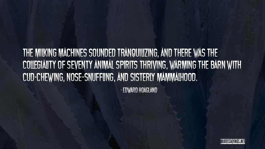 Heart Warming Quotes By Edward Hoagland Heart Warming Quotes By Edward Hoagland