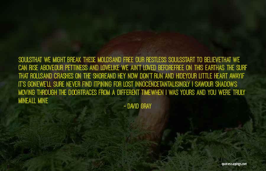 Heart Waves Quotes By David Gray Heart Waves Quotes By David Gray