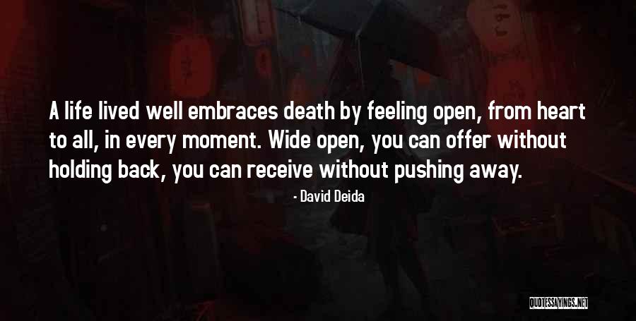 Heart Wide Open Quotes By David Deida