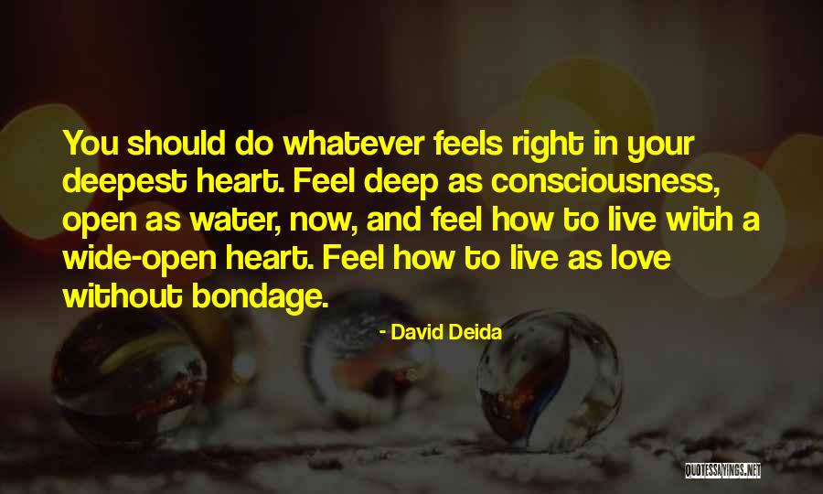 Heart Wide Open Quotes By David Deida