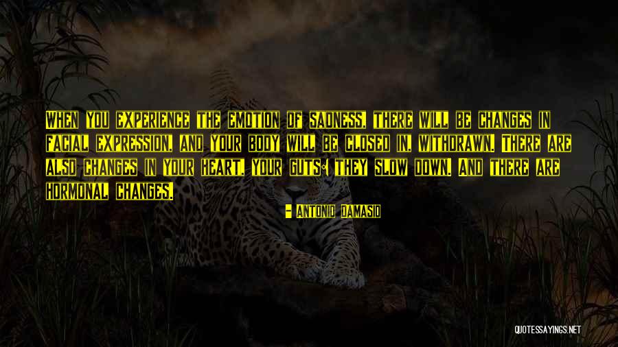 Heart Your Guts Quotes By Antonio Damasio Heart Your Guts Quotes By Antonio Damasio
