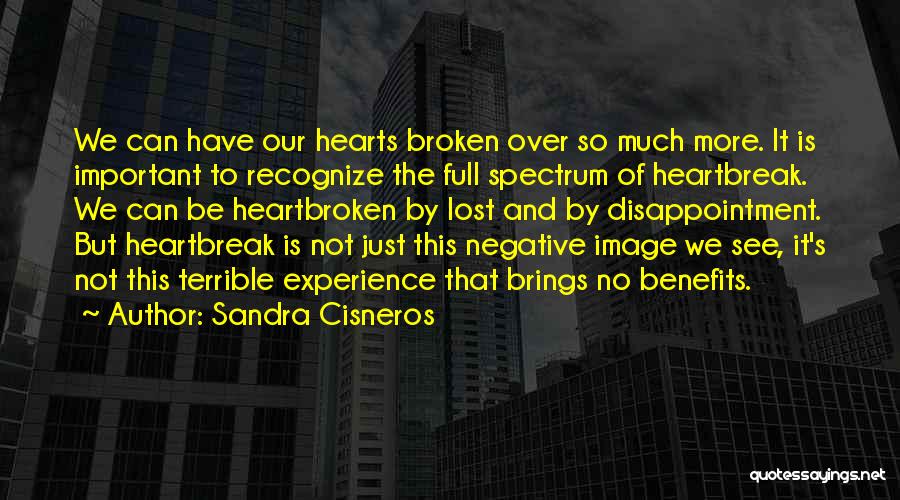 Heartbreak And Disappointment Quotes By Sandra Cisneros