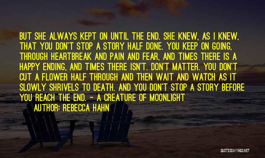Heartbreak And Pain Quotes By Rebecca Hahn