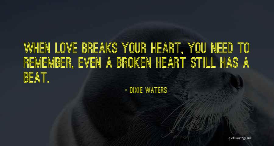 Heartbreak Broken Heart Quotes By Dixie Waters