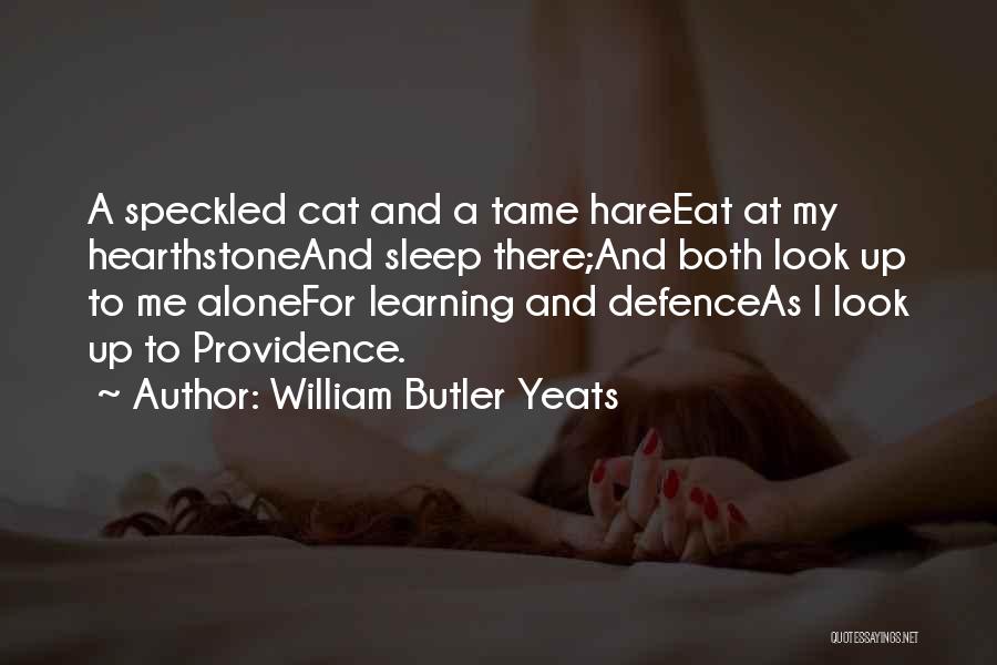Hearthstone Quotes By William Butler Yeats