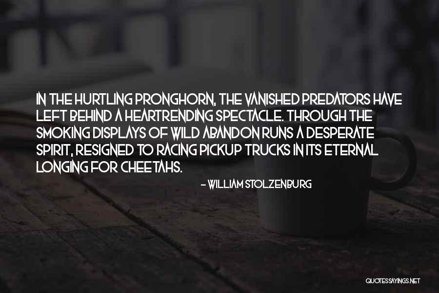 Heartrending Quotes By William Stolzenburg Heartrending Quotes By William Stolzenburg