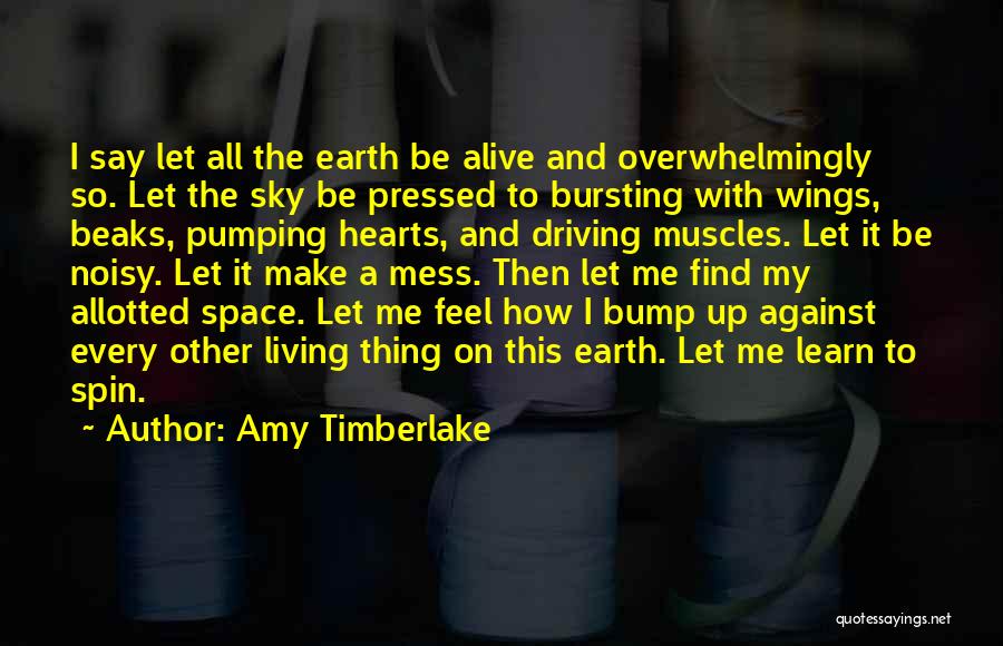 Hearts A Mess Quotes By Amy Timberlake