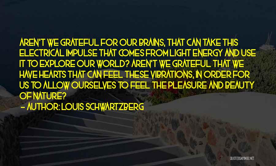 Hearts And Brains Quotes By Louis Schwartzberg