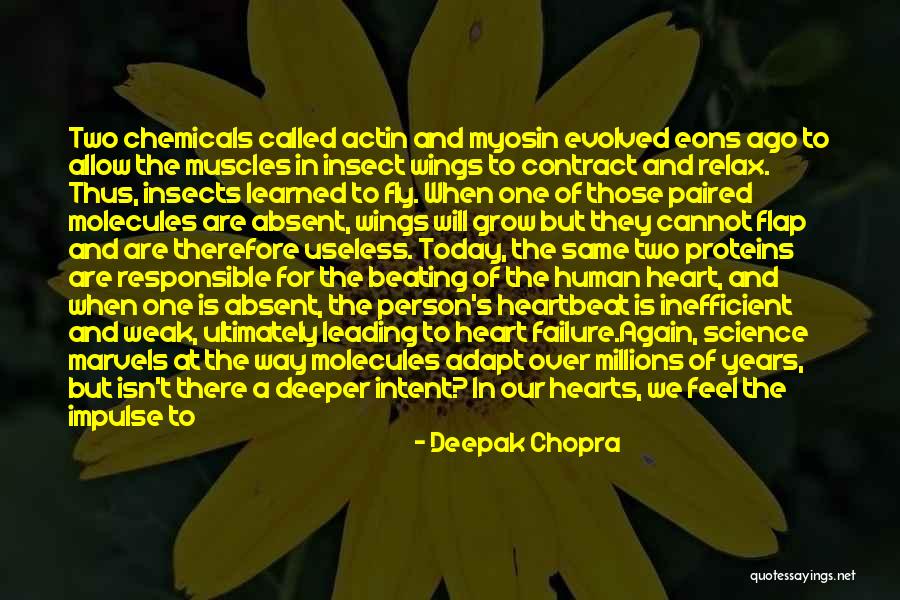 Hearts And Nature Quotes By Deepak Chopra