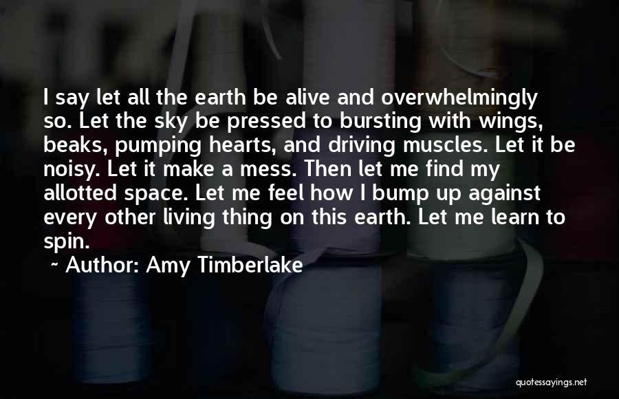 Hearts And Wings Quotes By Amy Timberlake