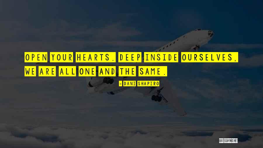 Hearts Are Same Quotes By Dani Shapiro Hearts Are Same Quotes By Dani Shapiro