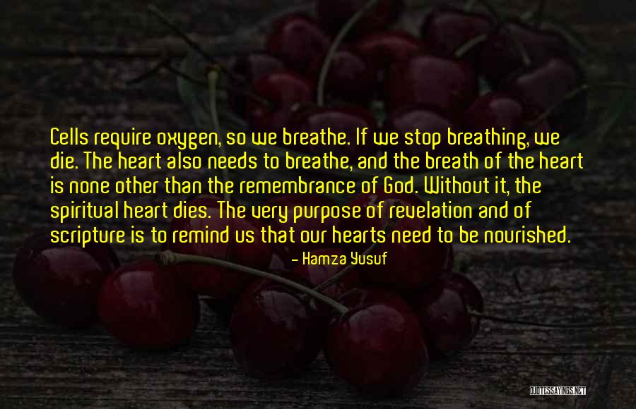 Hearts Needs Quotes By Hamza Yusuf Hearts Needs Quotes By Hamza Yusuf