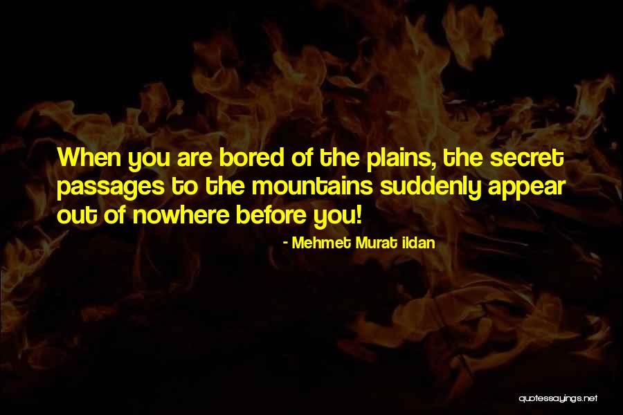 Heartwarming Best Friends Quotes By Mehmet Murat Ildan