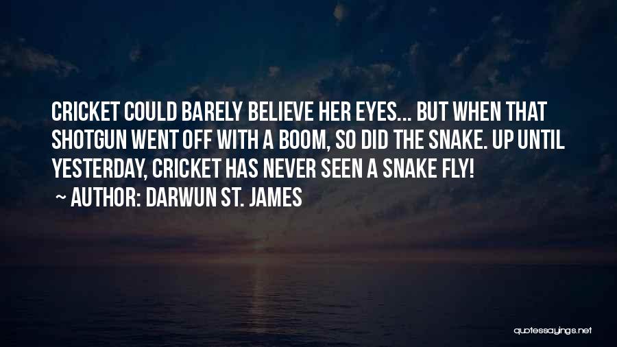 Heartwarming Quotes By Darwun St. James