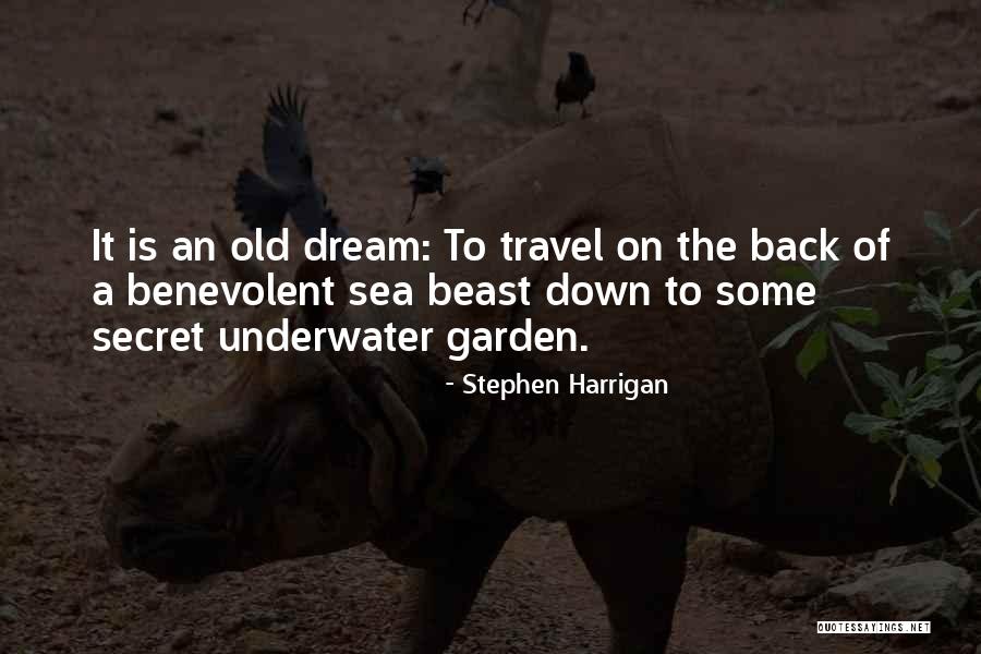 Heartwood Quotes By Stephen Harrigan Heartwood Quotes By Stephen Harrigan