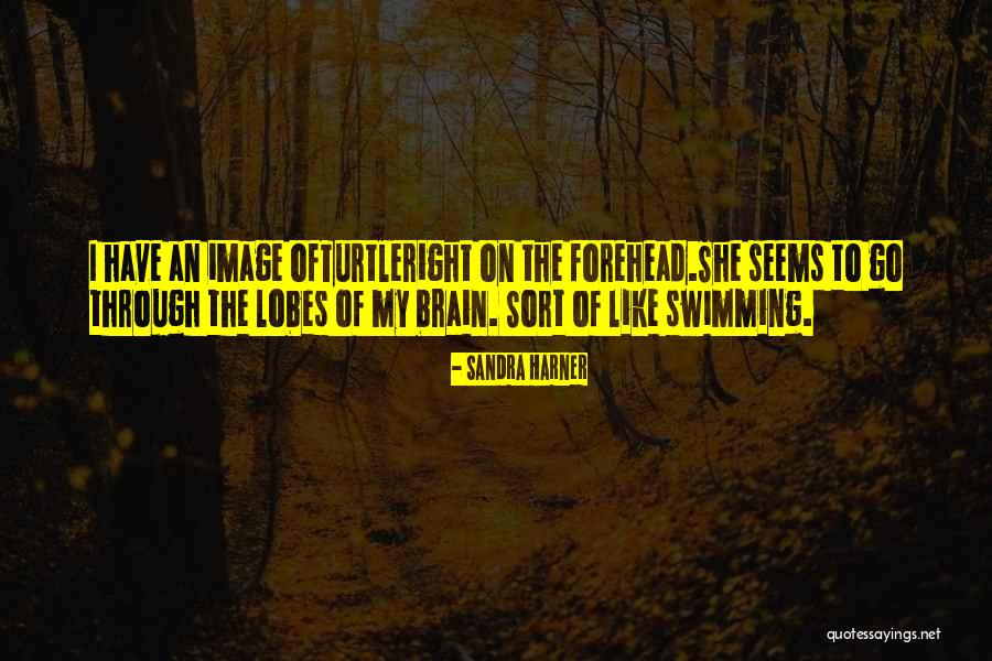 Heartwrenching Define Quotes By Sandra Harner Heartwrenching Define Quotes By Sandra Harner
