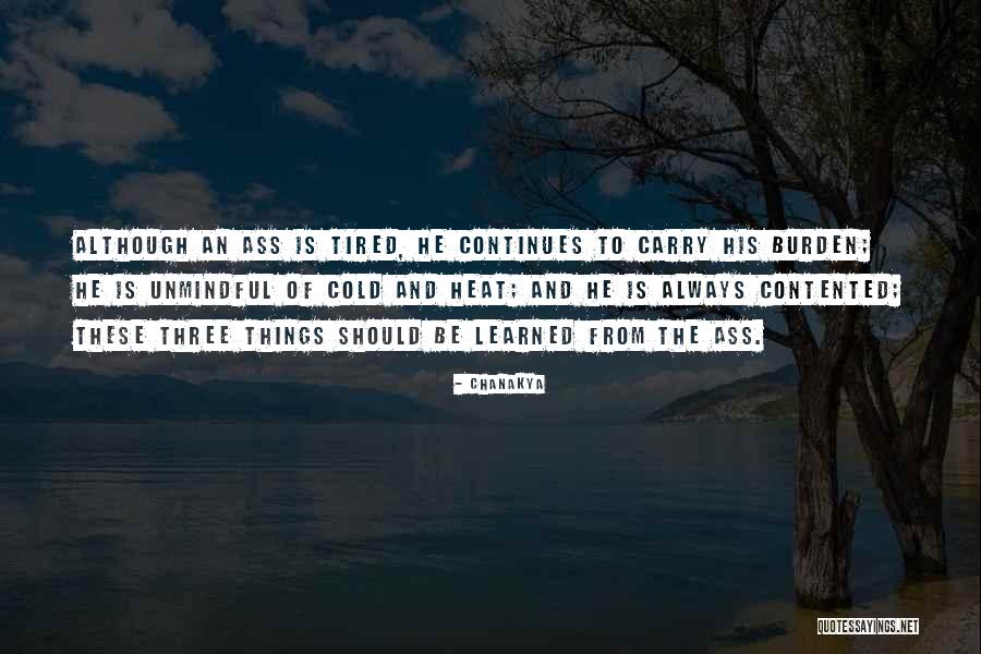 Heat And Cold Quotes By Chanakya Heat And Cold Quotes By Chanakya