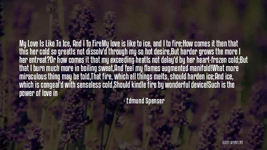 Heat And Cold Quotes By Edmund Spenser Heat And Cold Quotes By Edmund Spenser
