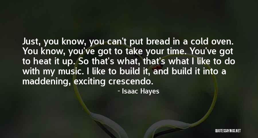 Heat And Cold Quotes By Isaac Hayes Heat And Cold Quotes By Isaac Hayes