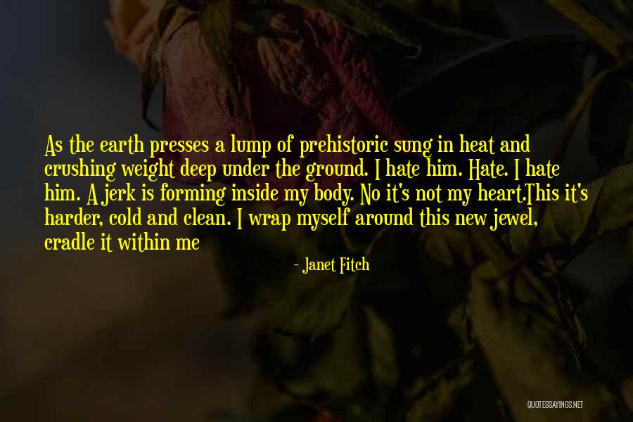 Heat And Cold Quotes By Janet Fitch Heat And Cold Quotes By Janet Fitch