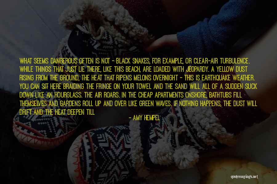 Heat And Dust Quotes By Amy Hempel Heat And Dust Quotes By Amy Hempel